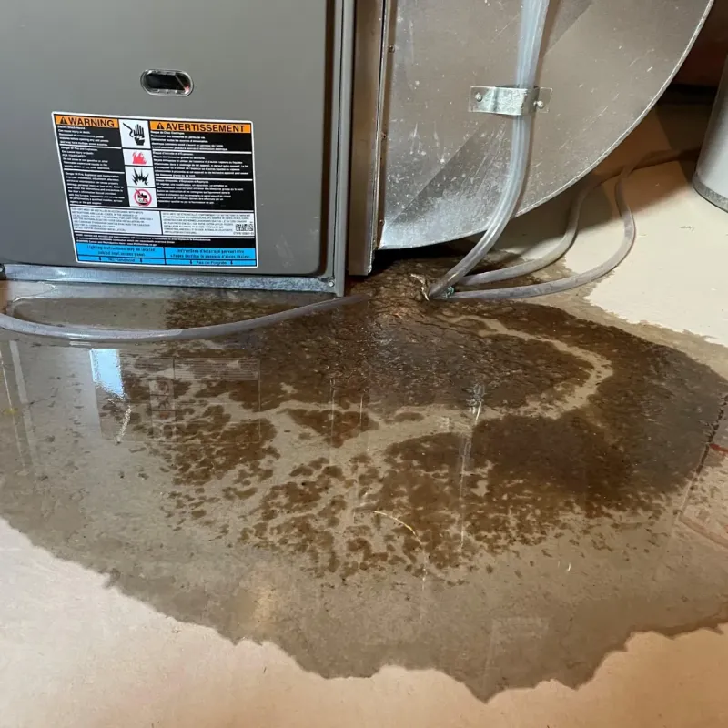 Appliance Leak Cleanup in Bayboro, NC